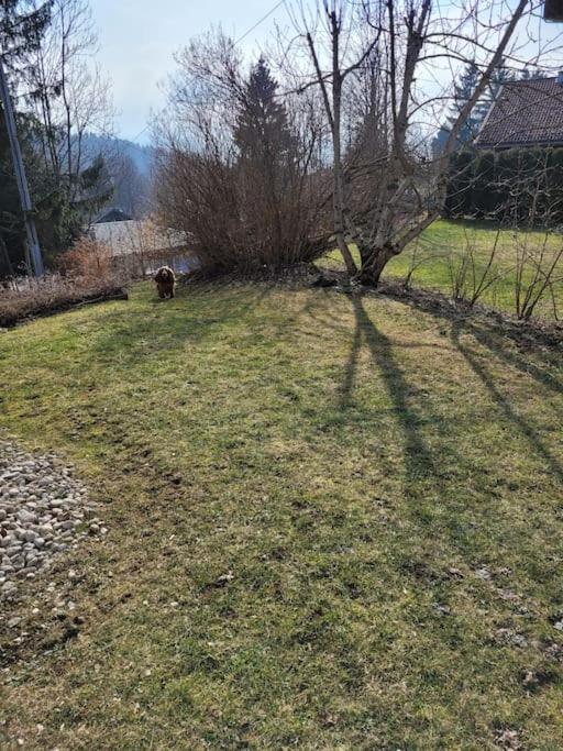 Appartement Le Flocon, Joli Petit Cocon 4 Pers En Rez De Jardin Draps Inclus Ле Рус Екстериор снимка